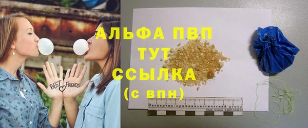2c-b Горно-Алтайск