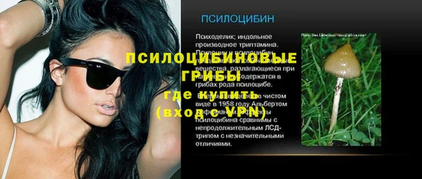 дмт Горнозаводск