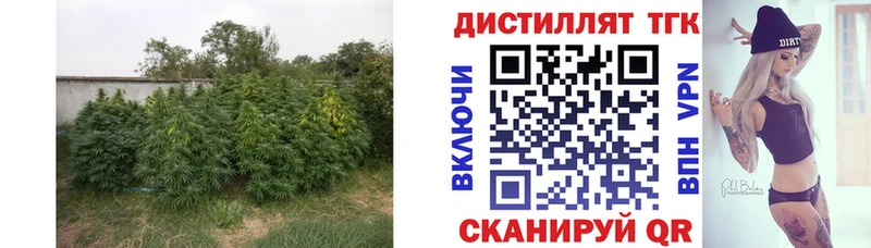 ТГК вейп Харовск